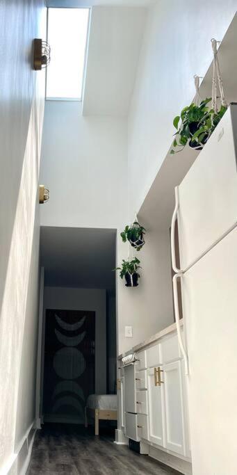 Geodis Park Apartment In Weho ナッシュビル エクステリア 写真
