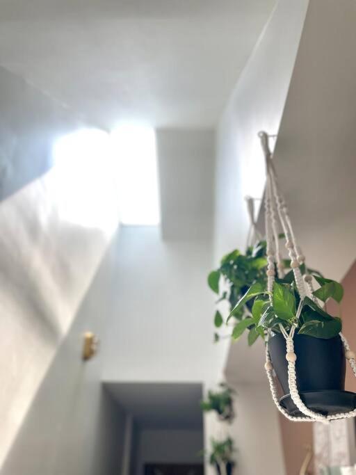 Geodis Park Apartment In Weho ナッシュビル エクステリア 写真